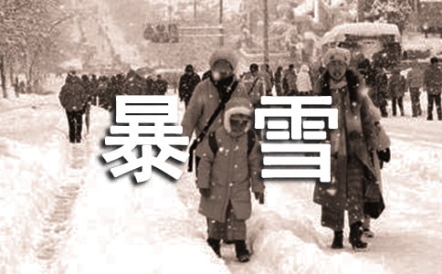 跟蹤暴雪的衛(wèi)星五年級優(yōu)秀作文(通用15篇)