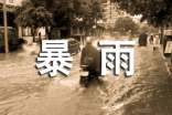 暴雨防汛的通知