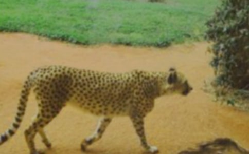 ���ӵ���(x��)��С�W(xu��)���ģ����x39ƪ��