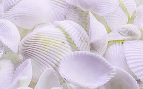 撿貝殼作文(精選)