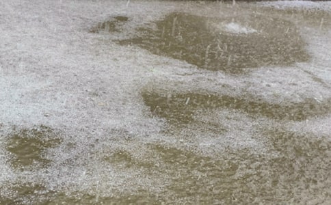 ����ı�������