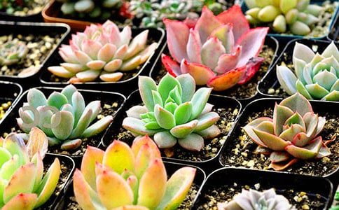 ����ă�(y��u)������