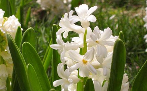 �茑�L(f��ng)���ӵ����ľ��A5ƪ