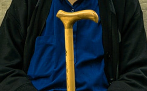 我是奶奶的小拐杖作文400字