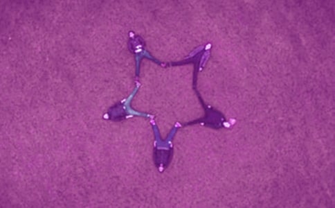 給好友的畢業(yè)贈言(精選80句)