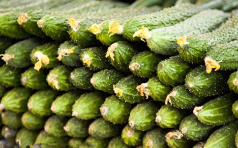 描寫黃瓜的作文5篇