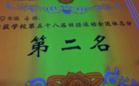 一張?zhí)貏e的獎(jiǎng)狀作文800字