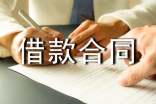 最新個人借款合同范本