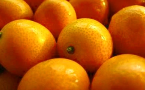 精選金桔作文300字4篇