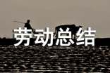 勞動(dòng)總結(jié)作文