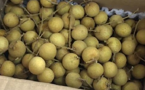 �Ґ�(��i)���l(xi��ng)����������(11ƪ)