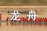 賽龍舟作文700字(通用33篇)