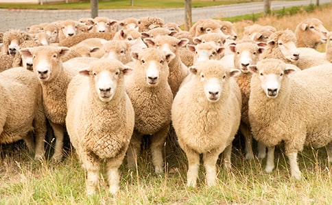 ����ش���;d�򽛵�Ԣ�Թ���