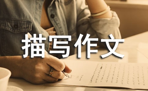 【實(shí)用】心理活動(dòng)描寫(xiě)作文