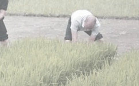 ���r(n��ng)�������300�֣����x29ƪ��