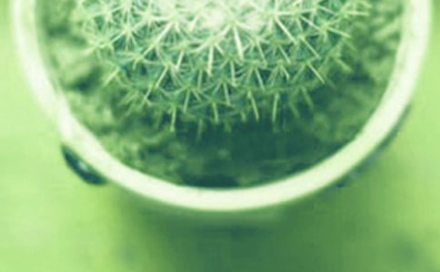 ��������600����ƪ