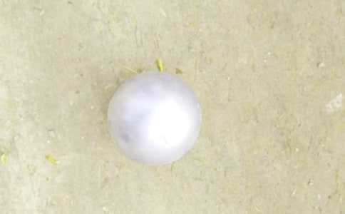 �U����͸�