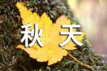 秋天問(wèn)候語(yǔ)溫馨版