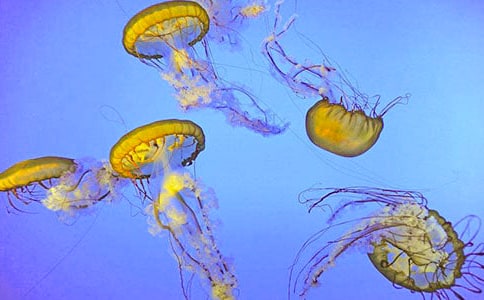 ˮĸ�v�U(xi��n)ӛ֮����֮�iС�W(xu��)���꼉����400��