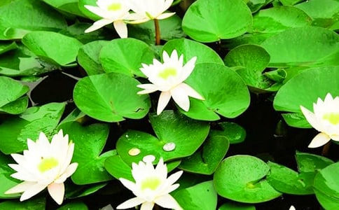 ˯ɏ����400�֣�ͨ��37ƪ��