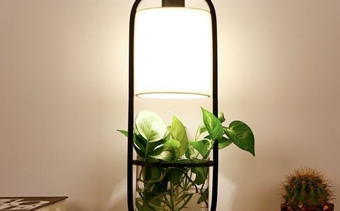 С�_(t��i)�����������꼉(j��)����400��