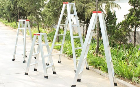 梯子閱讀理解答案