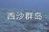 西沙群島導(dǎo)游詞15篇