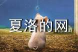 夏洛的網(wǎng)讀后感200字(精選3篇)
