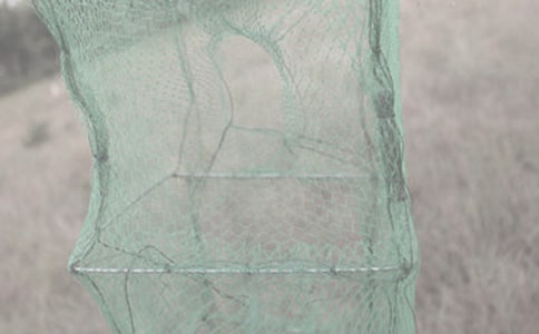 �O�W(w��ng)�����ЌW����600��