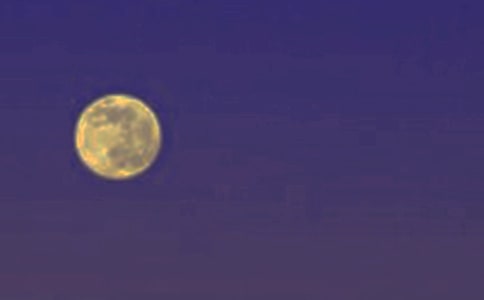 ��ҹ�A���f����500��