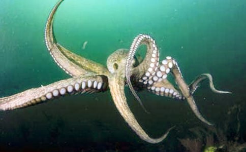 �P(gu��n)���ܶY��ɳĮ���~ǧ�q�m�������f������x�}����