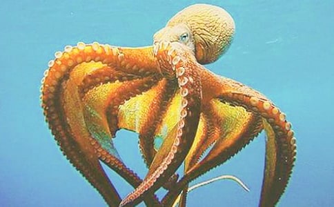 �茑���~������500�֣�ͨ��40ƪ��