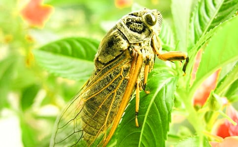 ֪�˽o�ҵĆ�ʾ����