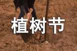 2017年關(guān)于植樹節(jié)演講稿