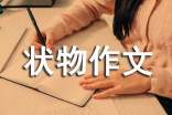 精選狀物作文300字合集9篇