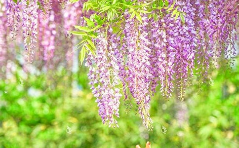 ���x���ٻ�����10ƪ