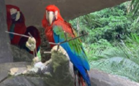 �����x���W�^����300����ƪ