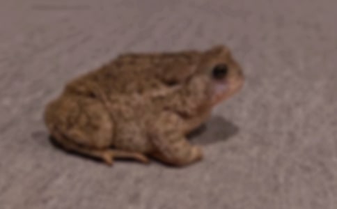 ���~�Z������