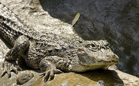 �ζ��T�{�~�u����