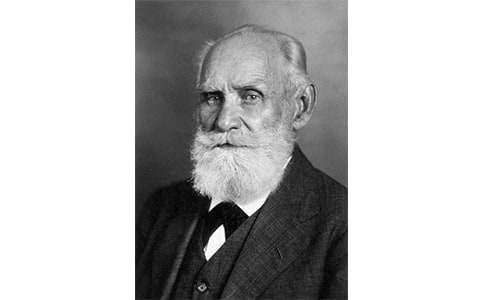 ���͸�����æ���x���Pӛ