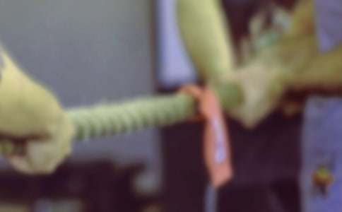 拔河比賽優(yōu)秀作文400字57篇