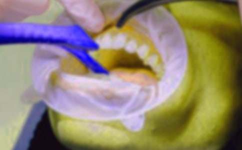 ������(j��ng)�v����600����ƪ