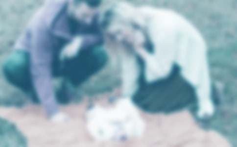 �ְ֋�������r�ڵğ���