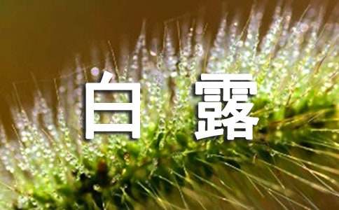 白露節(jié)氣諺語(yǔ)