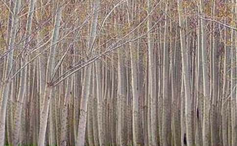 �P(gu��n)�ڡ��ח�Yٝ���Ľ̰��O(sh��)Ӌ(j��)