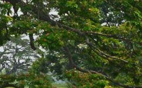 �׃��@����Z�Խ̰����ģ�С�ח�ć�ȹ