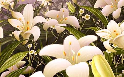 九年級(jí)課文百合花教案(通用8篇)