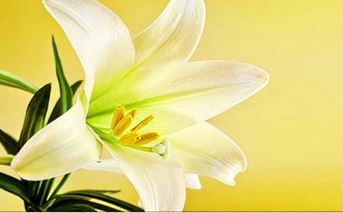 �ٺϻ����ĳ���