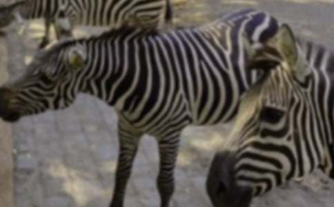 �Y׌���R����������������500��