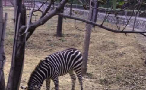 �Y׌���R���������^�R·����